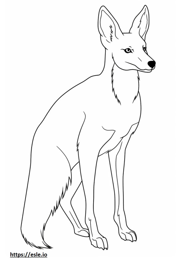 Gray Fox full body coloring page