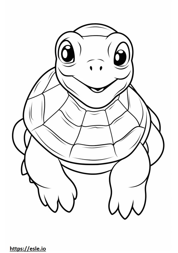 Painted Turtle Kawaii coloring page