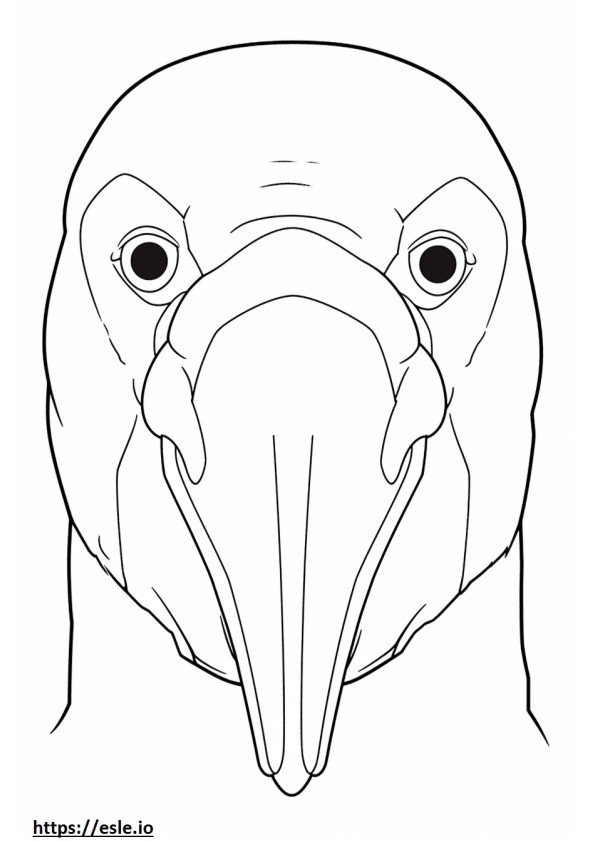 Pingvin arc szinező