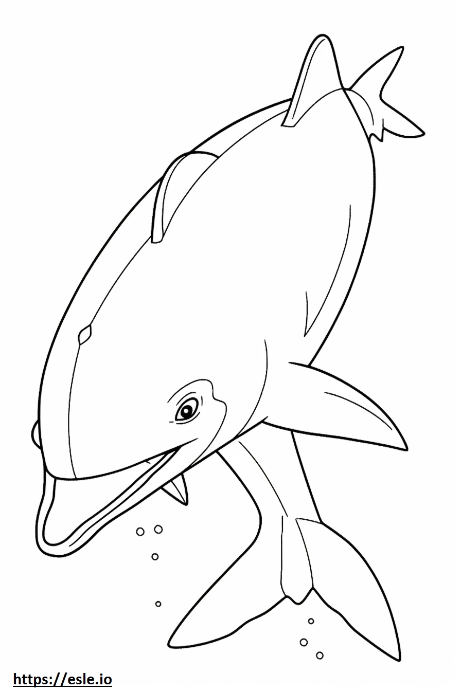 Dolphin Kawaii 1 Coloring Page