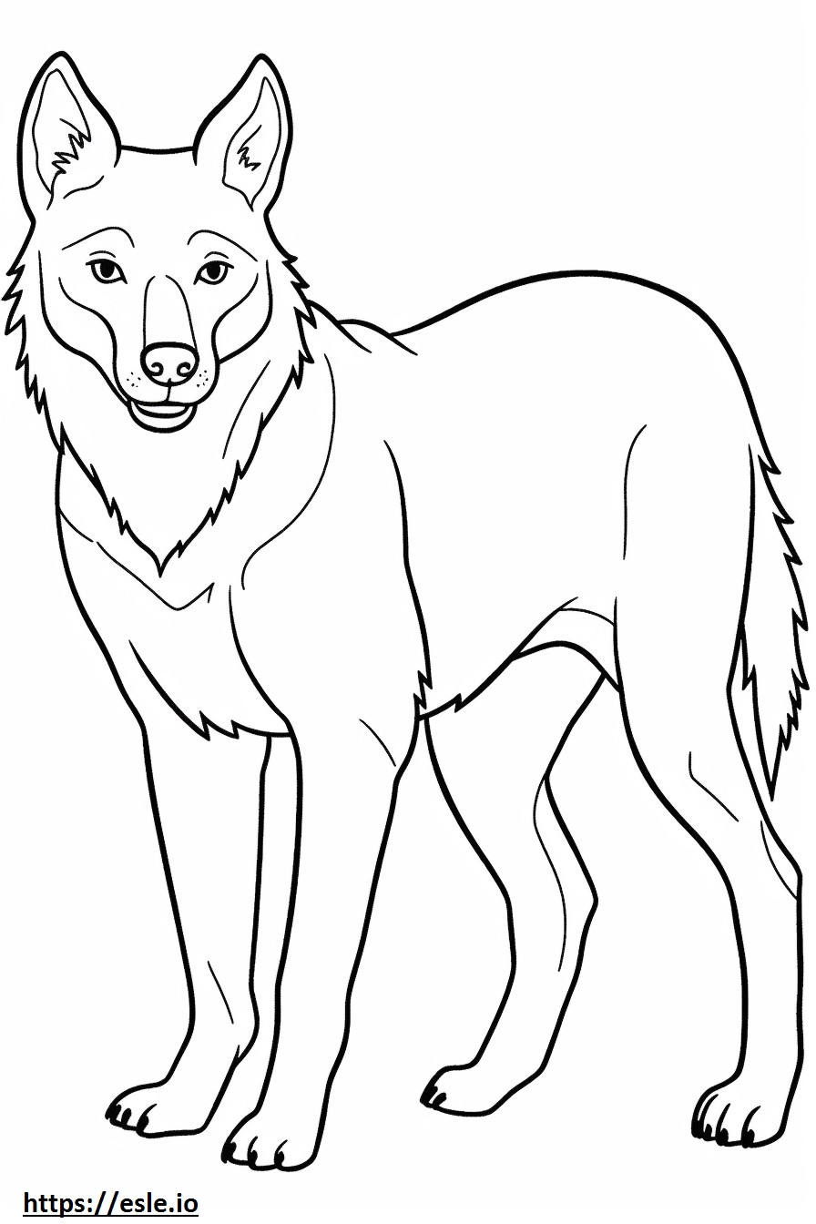 Dhole cute coloring page