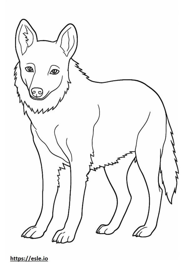 Dhole schattig 2