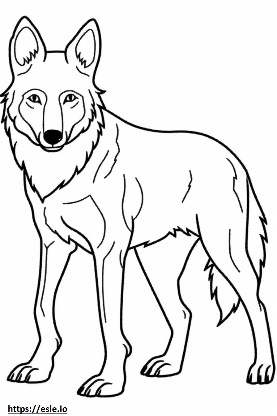 Dhole cute coloring page