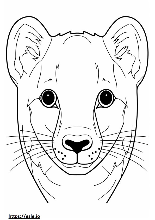 Cara de Quoll 2