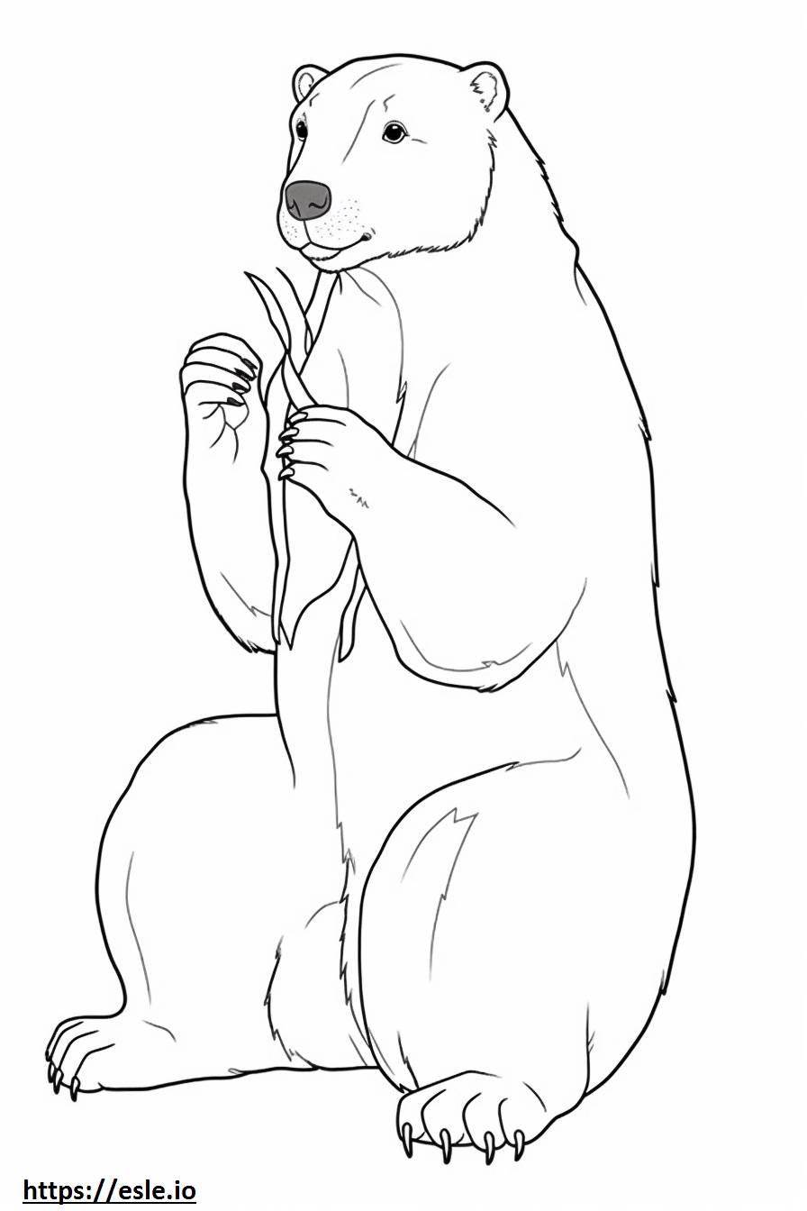Eurasian Beaver Full Body Coloring Page