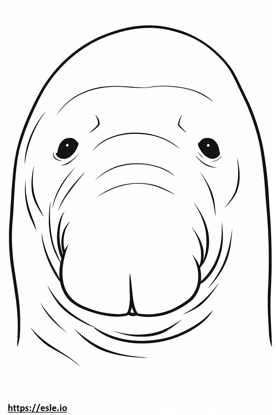Deniz ayısı yüzü boyama