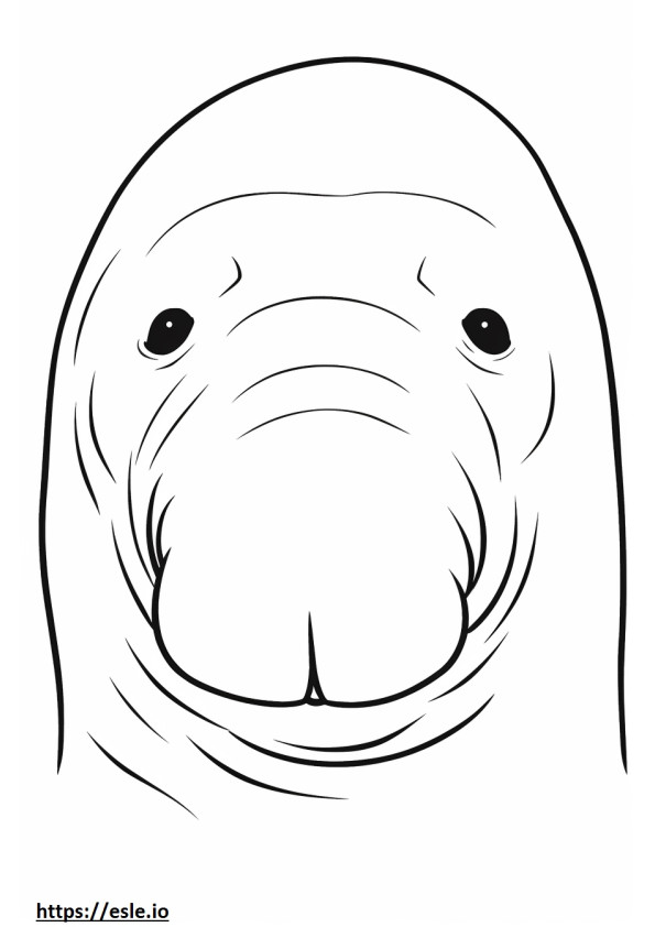 Deniz ayısı yüzü boyama