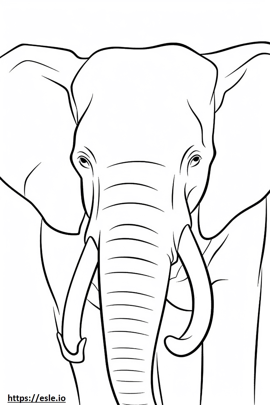 Gesicht eines Sumatra-Elefanten zum Ausdrucken
