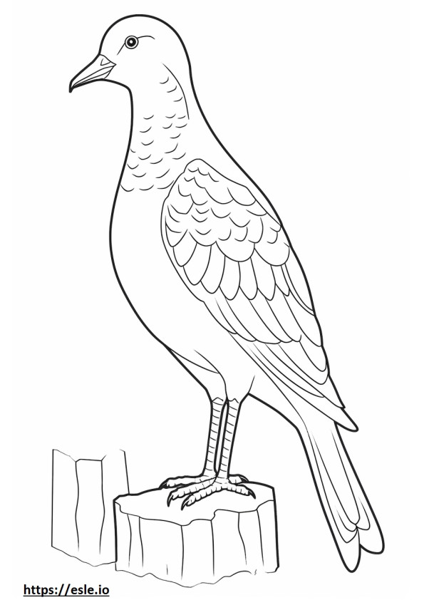 Northern Flicker full body coloring page