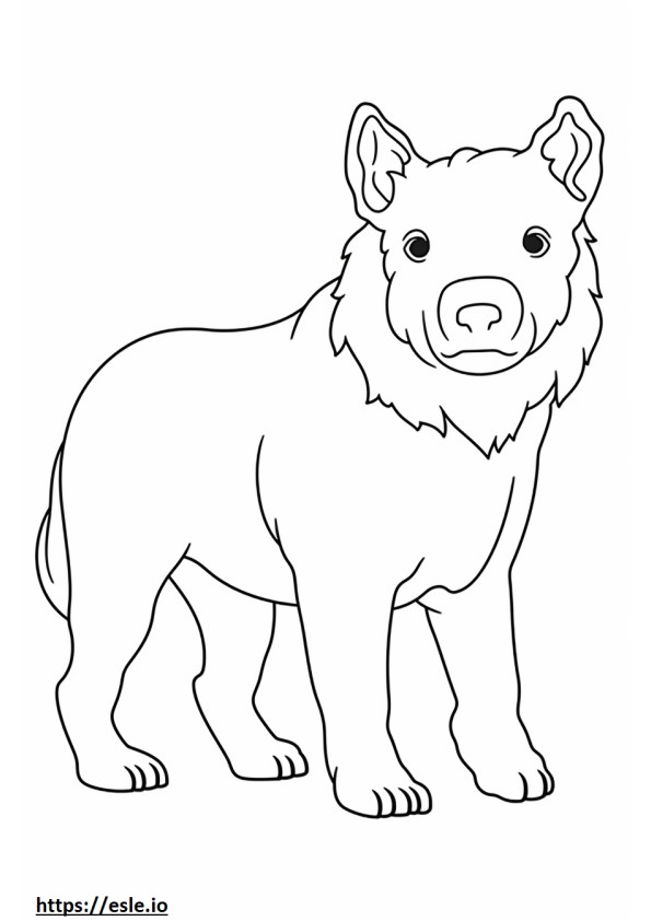 Westiepoo carino 0