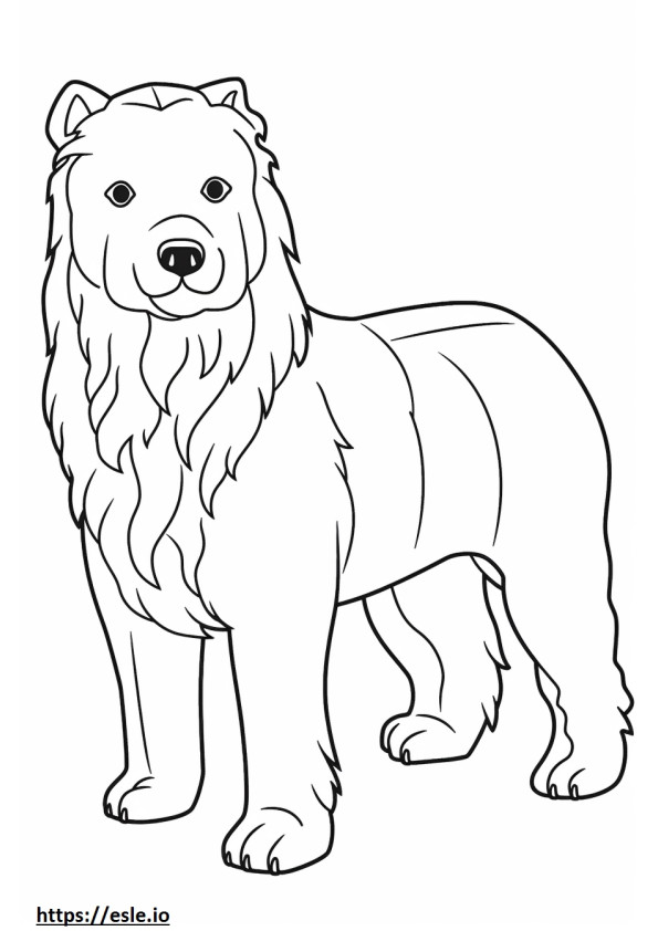 Westiepoo carino 2