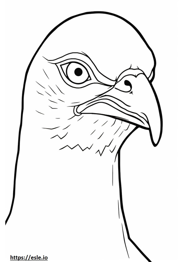 Eurasian Collared Dove face coloring page