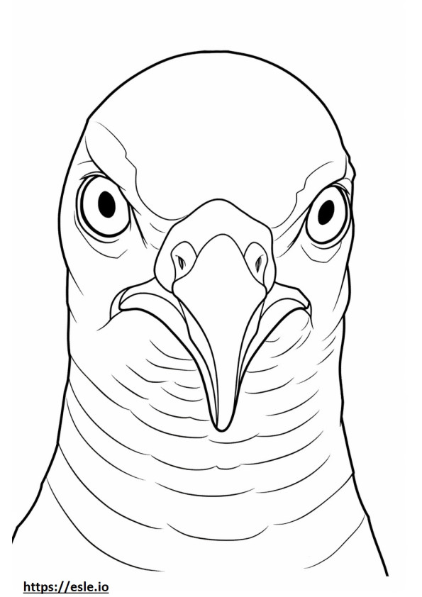 Eurasian Collared Dove face coloring page
