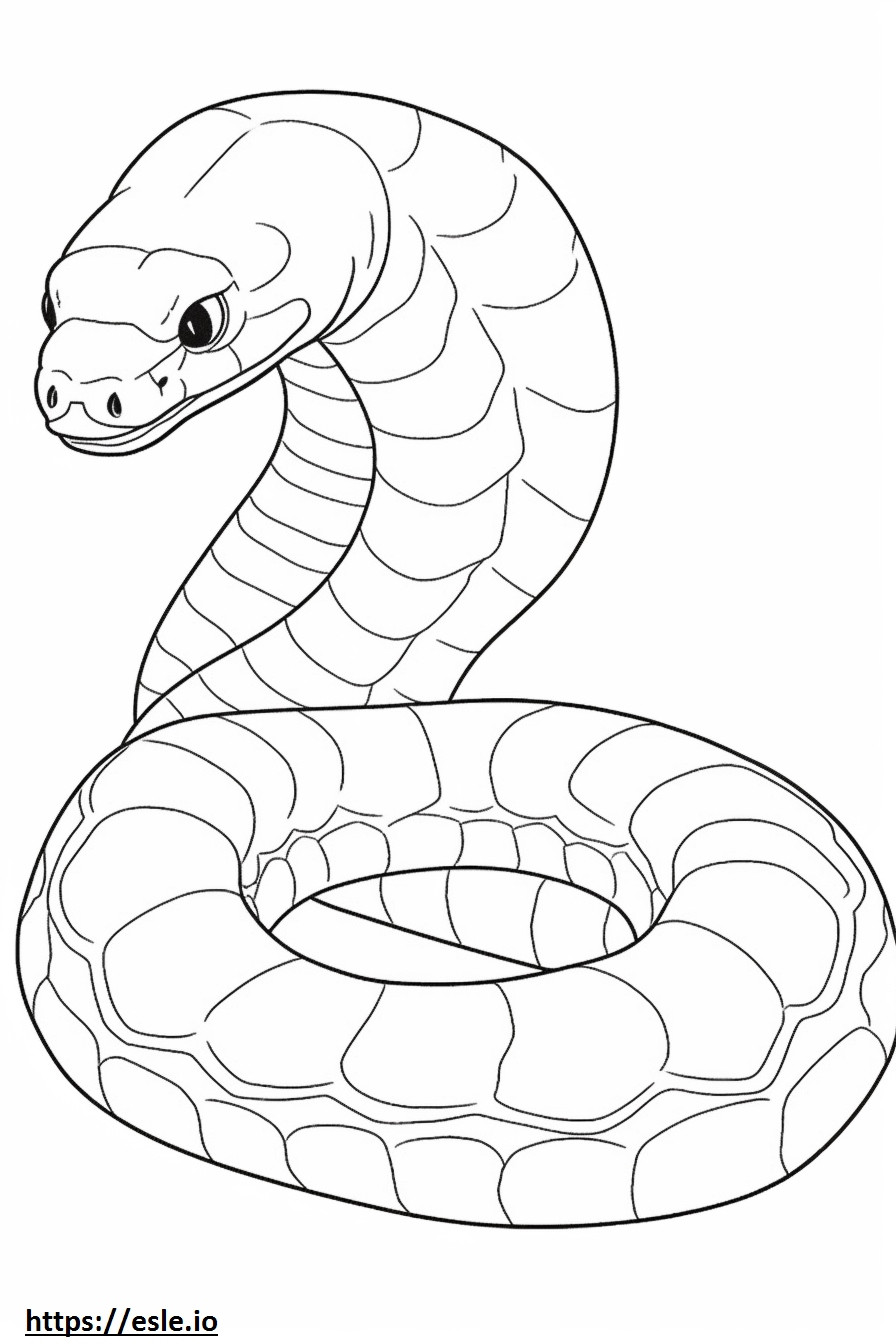 Coloriage Python royal mignon à imprimer