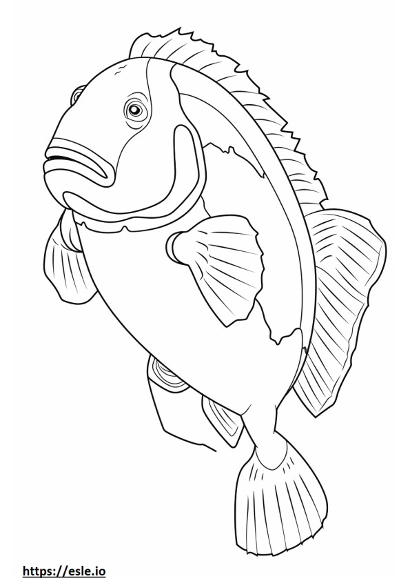 Neptune Grouper full body coloring page