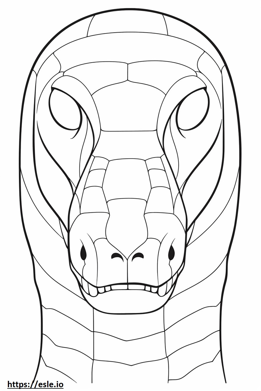 Cara de Anaconda boliviana para colorir