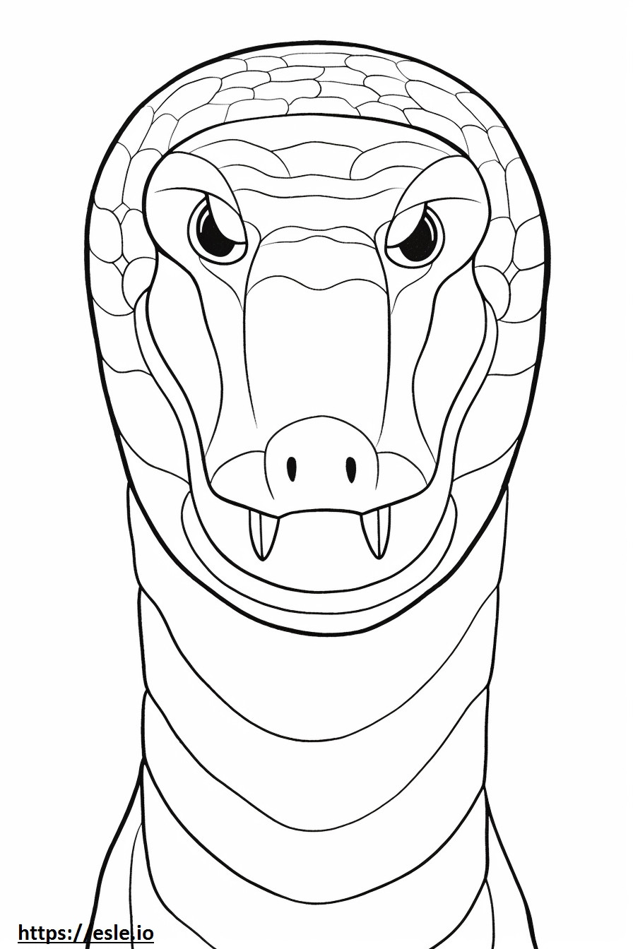Bolivian Anaconda face coloring page