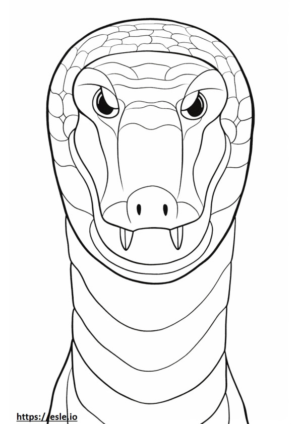 ボリビアのアナコンダの顔 ぬりえ - 塗り絵