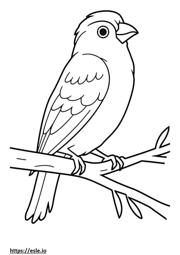 Belgischer Kanarienvogel, süß ausmalbild