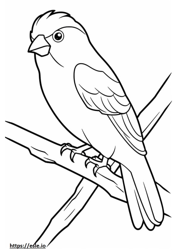 Belgian Canary cute coloring page