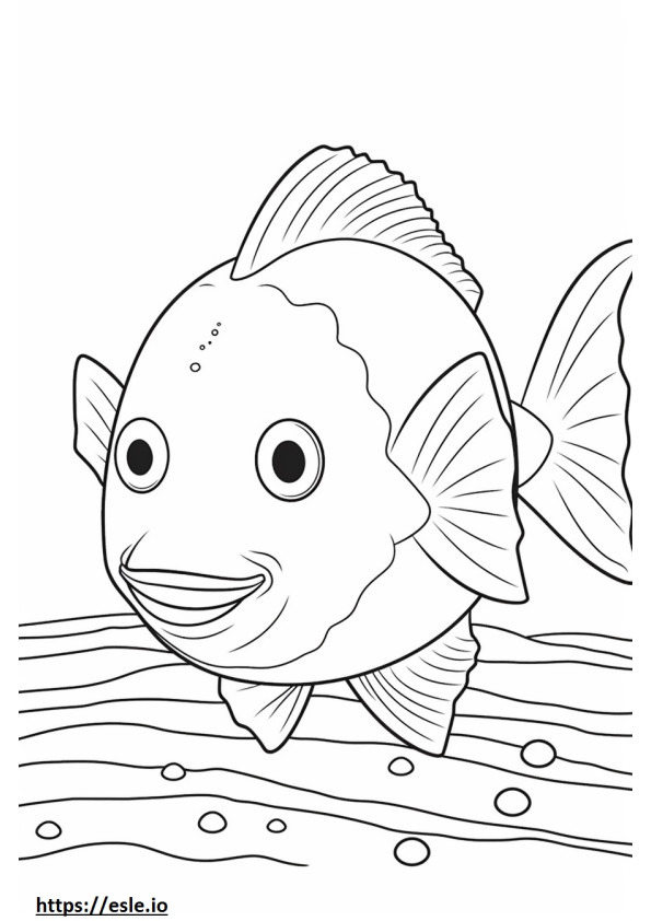 Édesvízi Sunfish Kawaii szinező