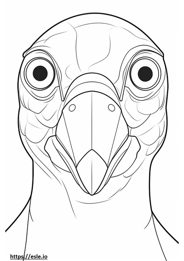 House Finch face coloring page