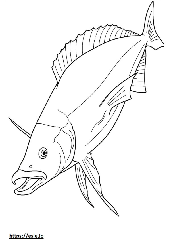 Mahi Mahi (Dolphin Fish) cute coloring page