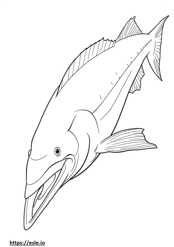 Mahi Mahi (Dolphin Fish) cute coloring page