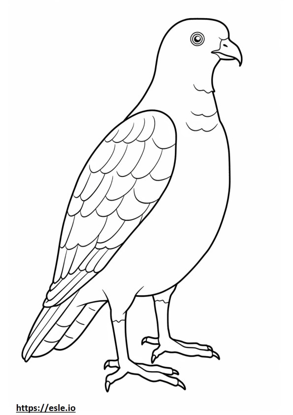 Cooper’s Hawk full body coloring page