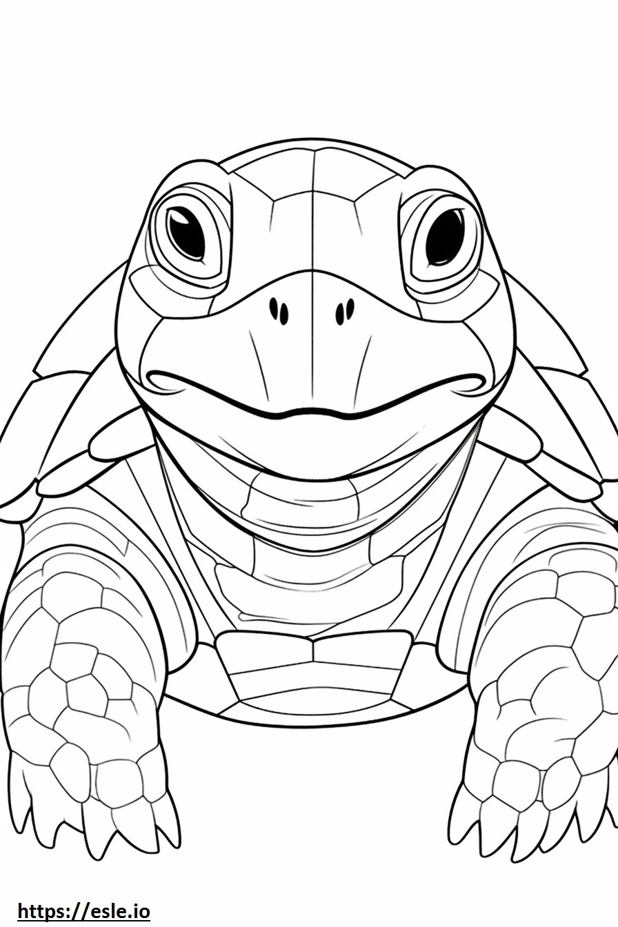 Gesicht der Rotfußschildkröte ausmalbild