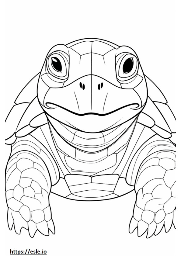 Red-Footed Tortoise face coloring page