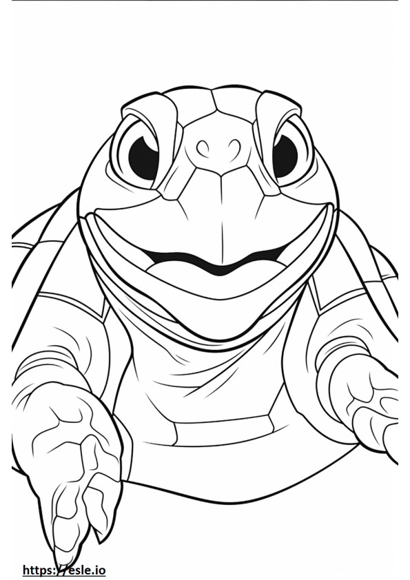 Vöröslábú teknős arca szinező