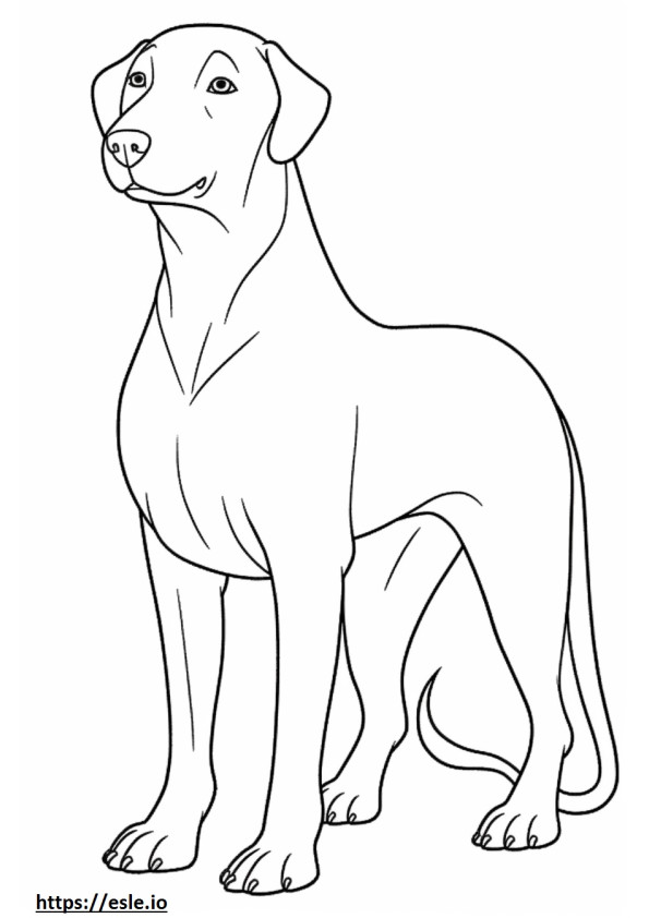 Labmaraner full body coloring page