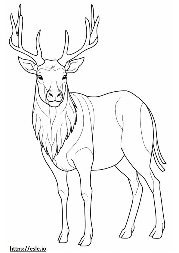 Markhor full body coloring page