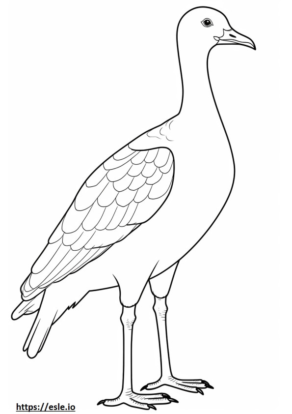 Egyptian Goose cute coloring page
