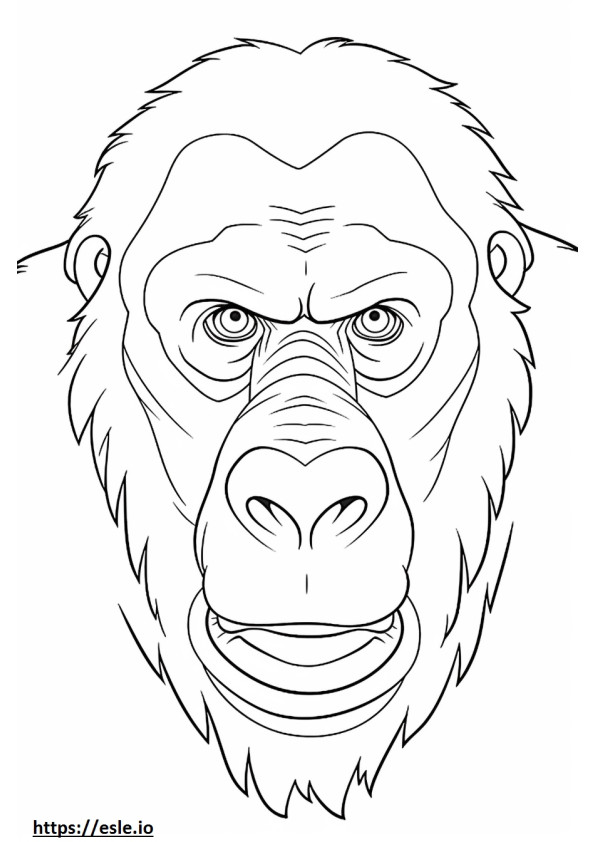 Gorillan kasvot värityskuva