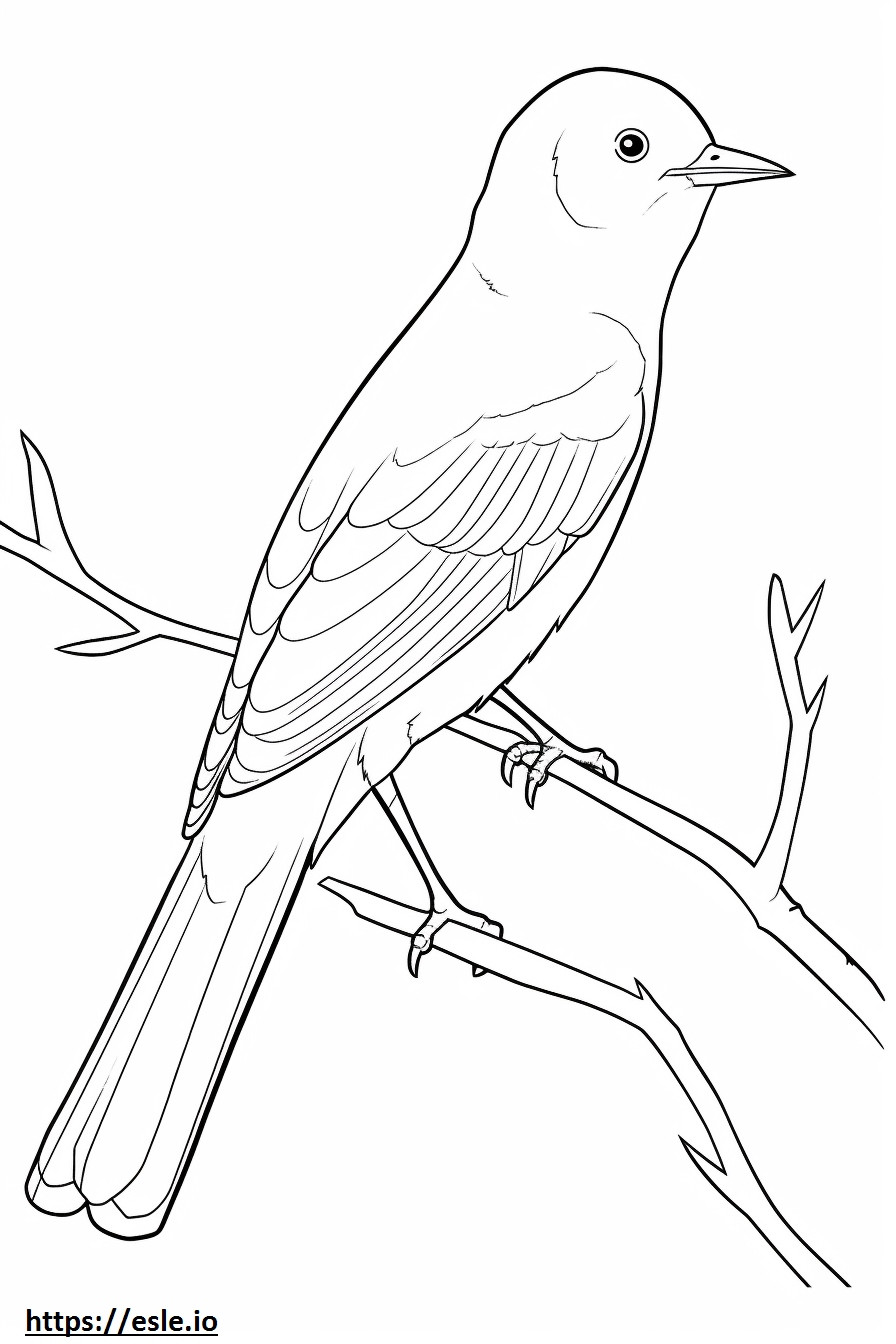 Nightingale full body coloring page