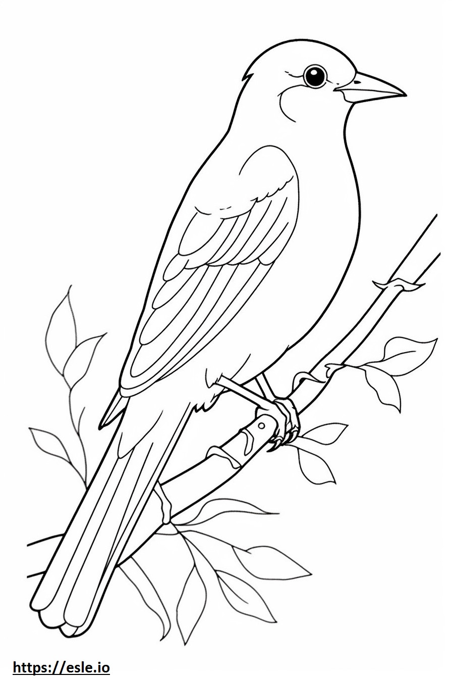Nightingale full body coloring page