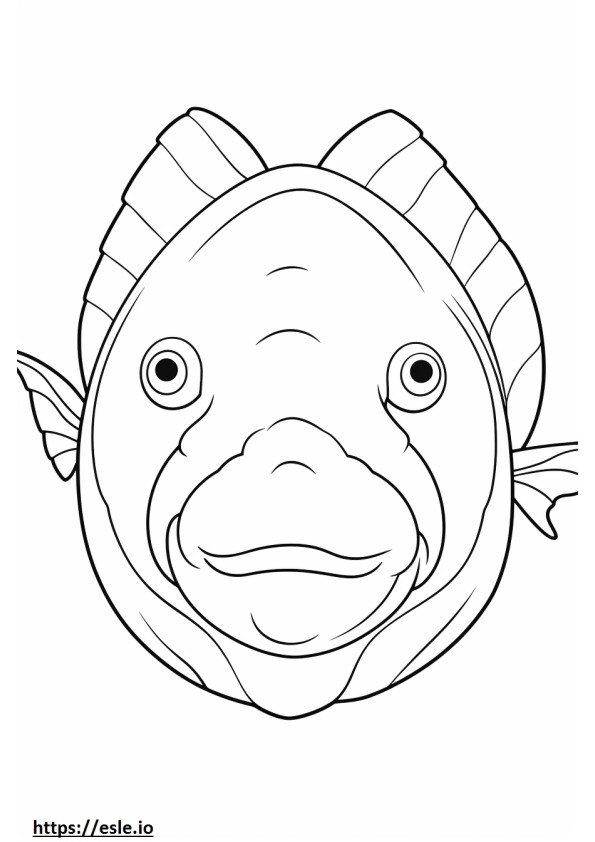 Cara de peixe-bolha para colorir