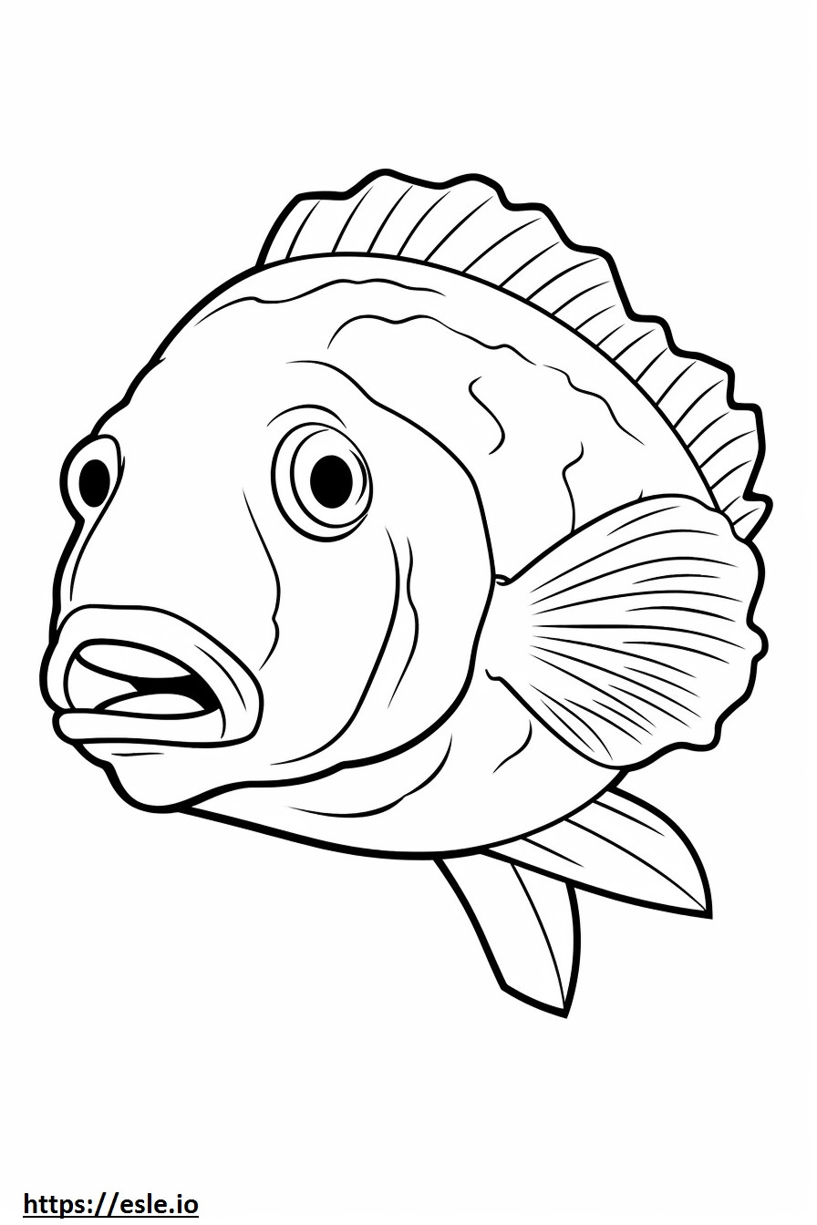 Crappie Fish söpö värityskuva