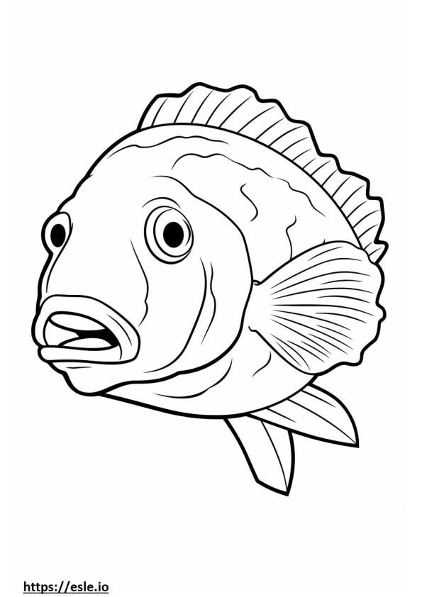 Crappie Fish cute coloring page