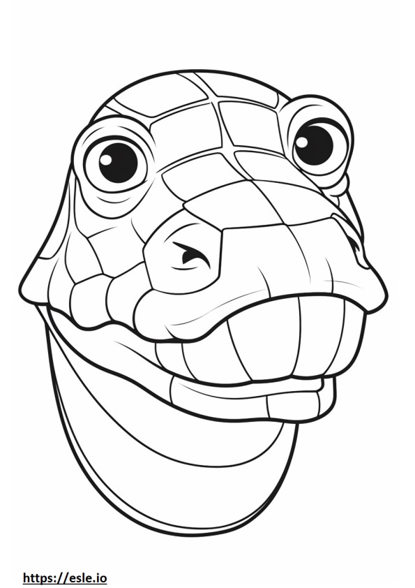 Possukilpikonnan kasvot värityskuva