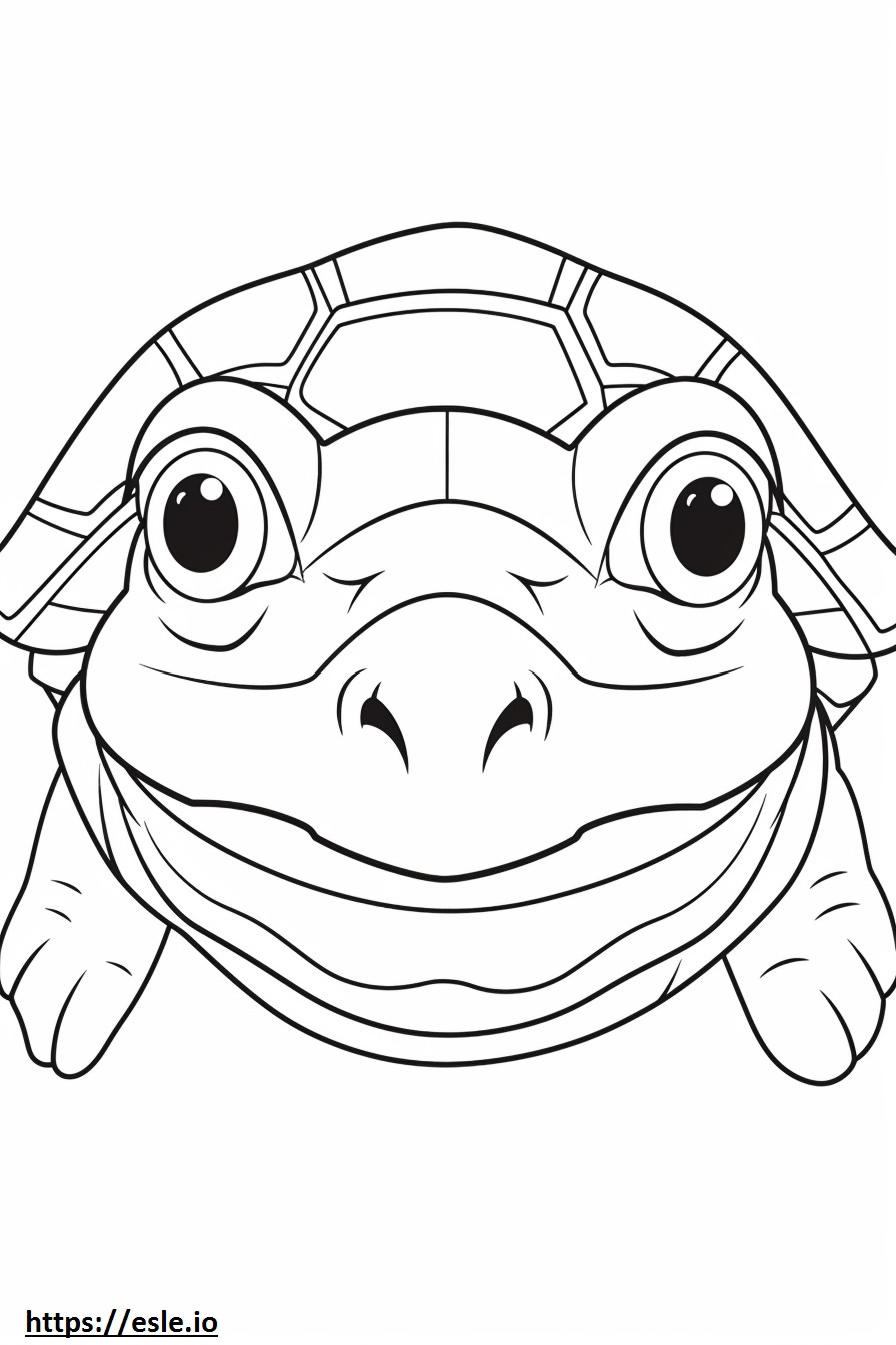 Cara de tartaruga com nariz de porco para colorir