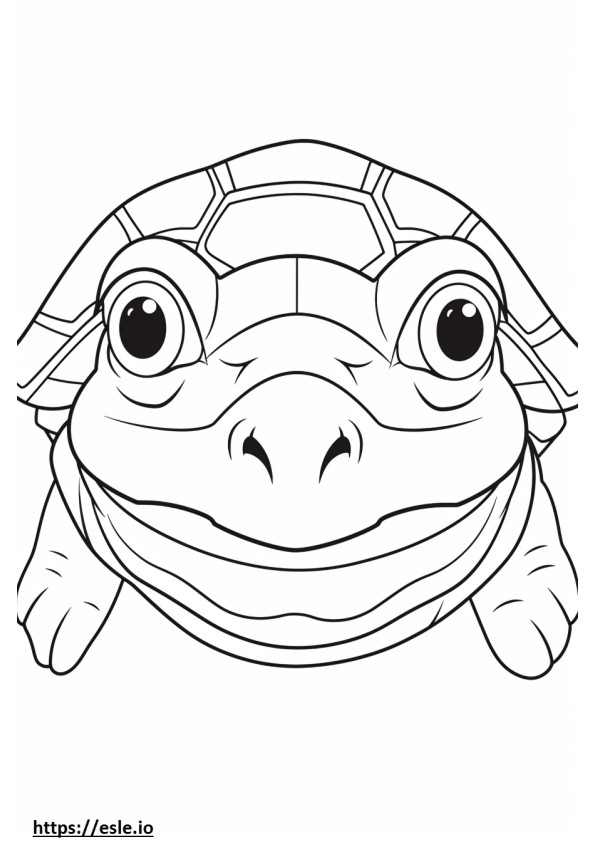 Pig-Nosed Turtle face coloring page
