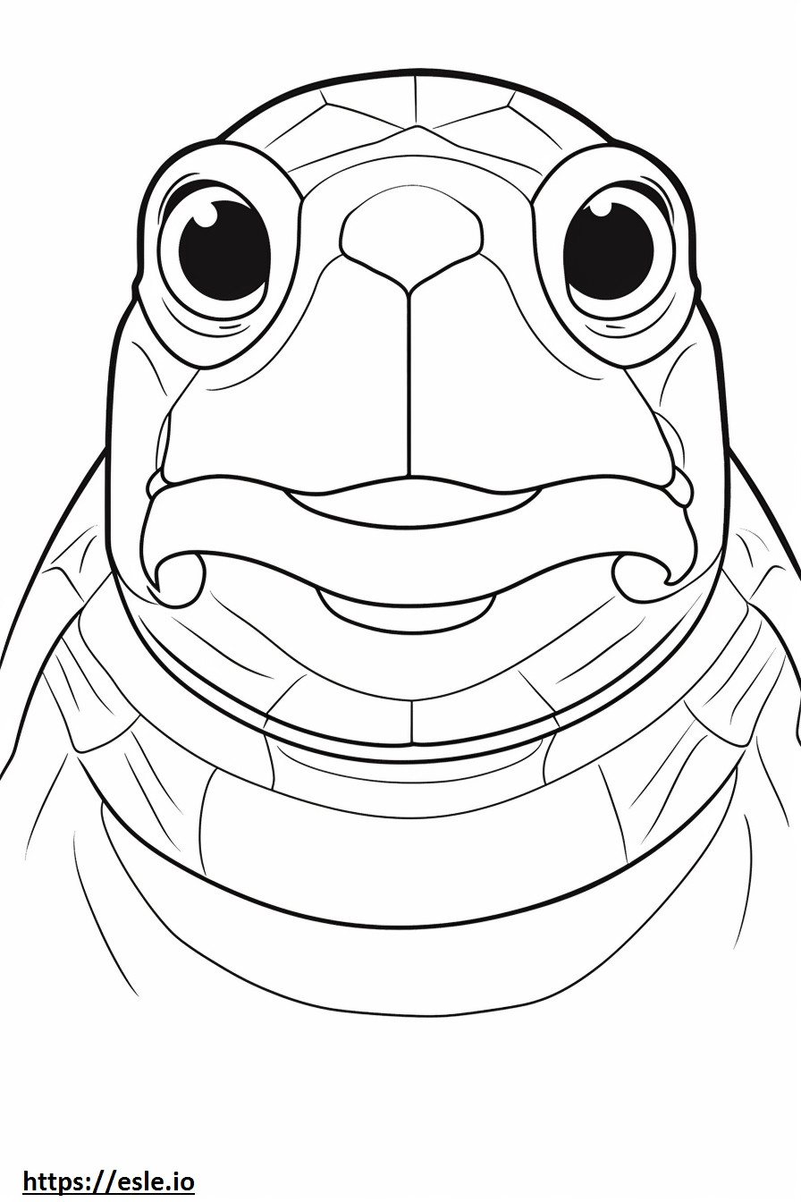 Possukilpikonnan kasvot värityskuva