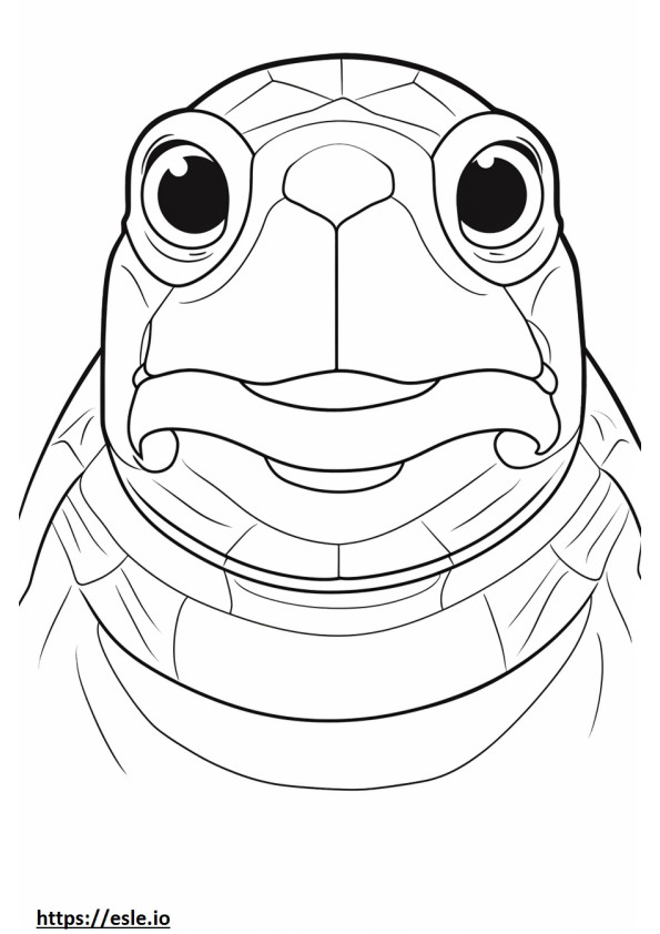 Gesicht der Schweinsnasenschildkröte ausmalbild