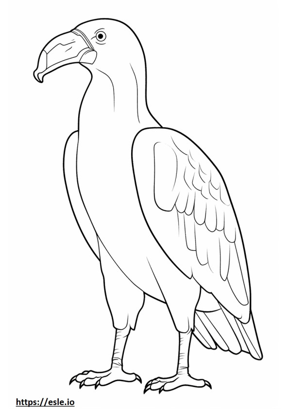 Schneagle full body 2
