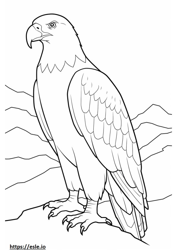 Schneagle full body 3