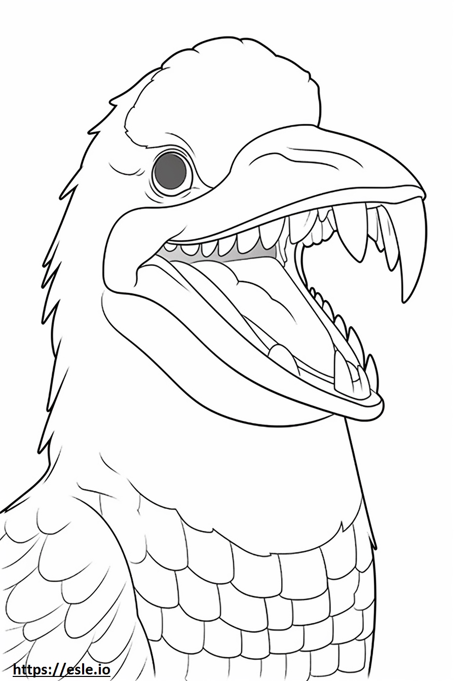 Laughing Kookaburra Face Coloring Page for Kids