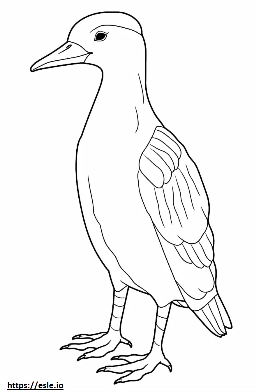Eider cute coloring page